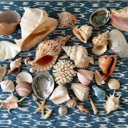 Διαμέρισμα Neum Beach Apartment *